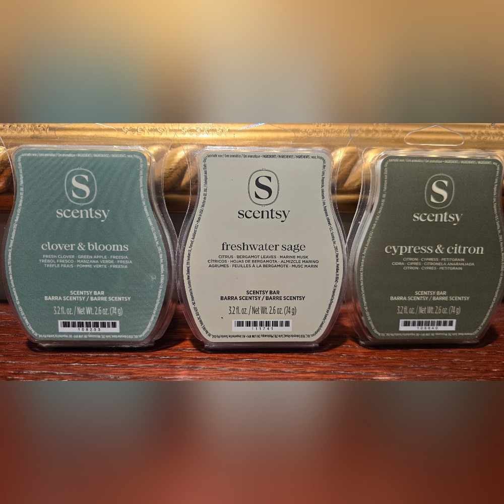 Scentsy Wax Melts (3)